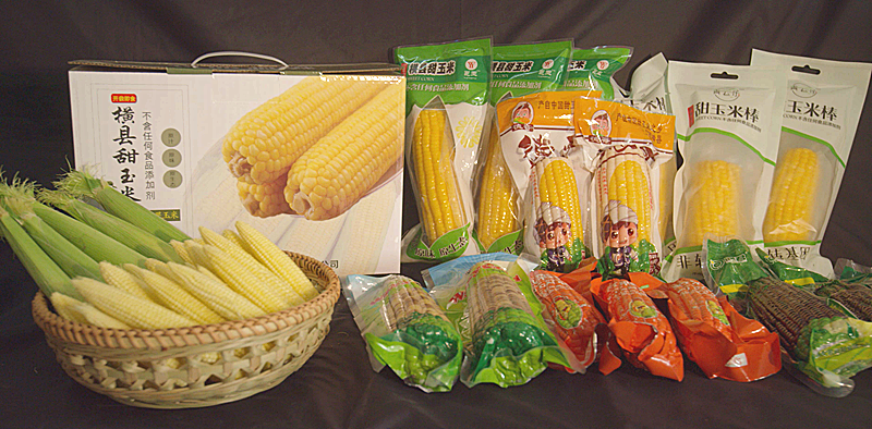 特色產(chǎn)品|橫縣甜玉米憑什么獲得農(nóng)產(chǎn)品地理標(biāo)志登記證書(shū)?